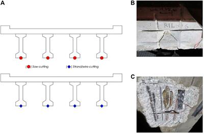 New trends in assessing the prestress loss in post-tensioned concrete bridges